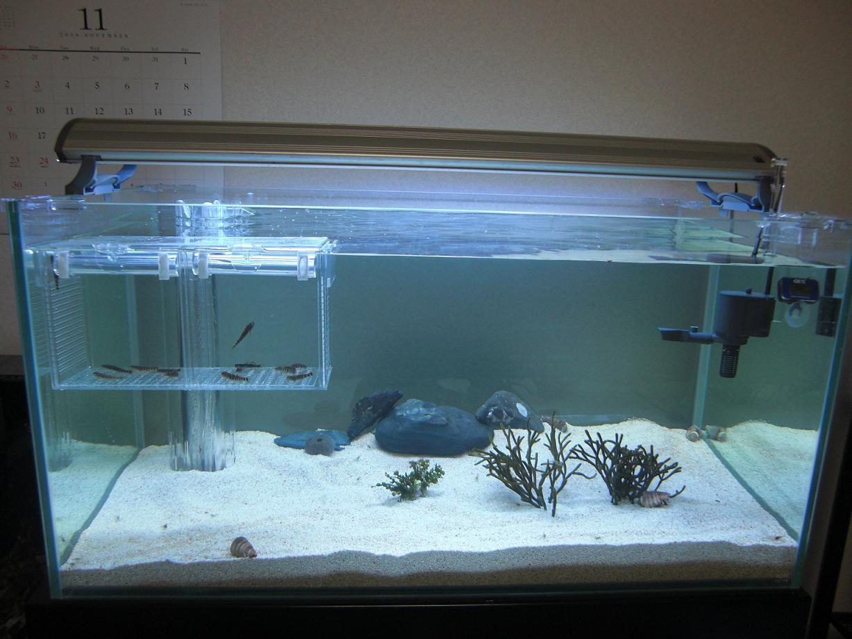 特注品】90cmアクリルWオーバーフロー水槽(本水槽+リフジュウム水槽