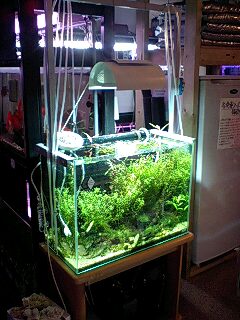 ADA NAG-150W メタハラグリーンソーラー1