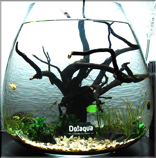 ADA プラントグラス Do!Aqua Do! オーバル25（絶版 Do!aquaオーバル25