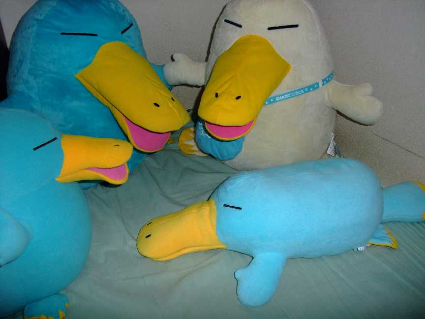 セール 【希少】JR西日本 BIG！ICOCA カモノハシのイコちゃん 抱き枕