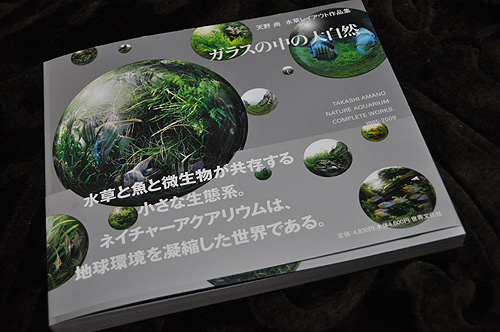 天野尚 作品集 ガラスの中の大自然 NATURE AQUARIUM WORKS 天野尚作品