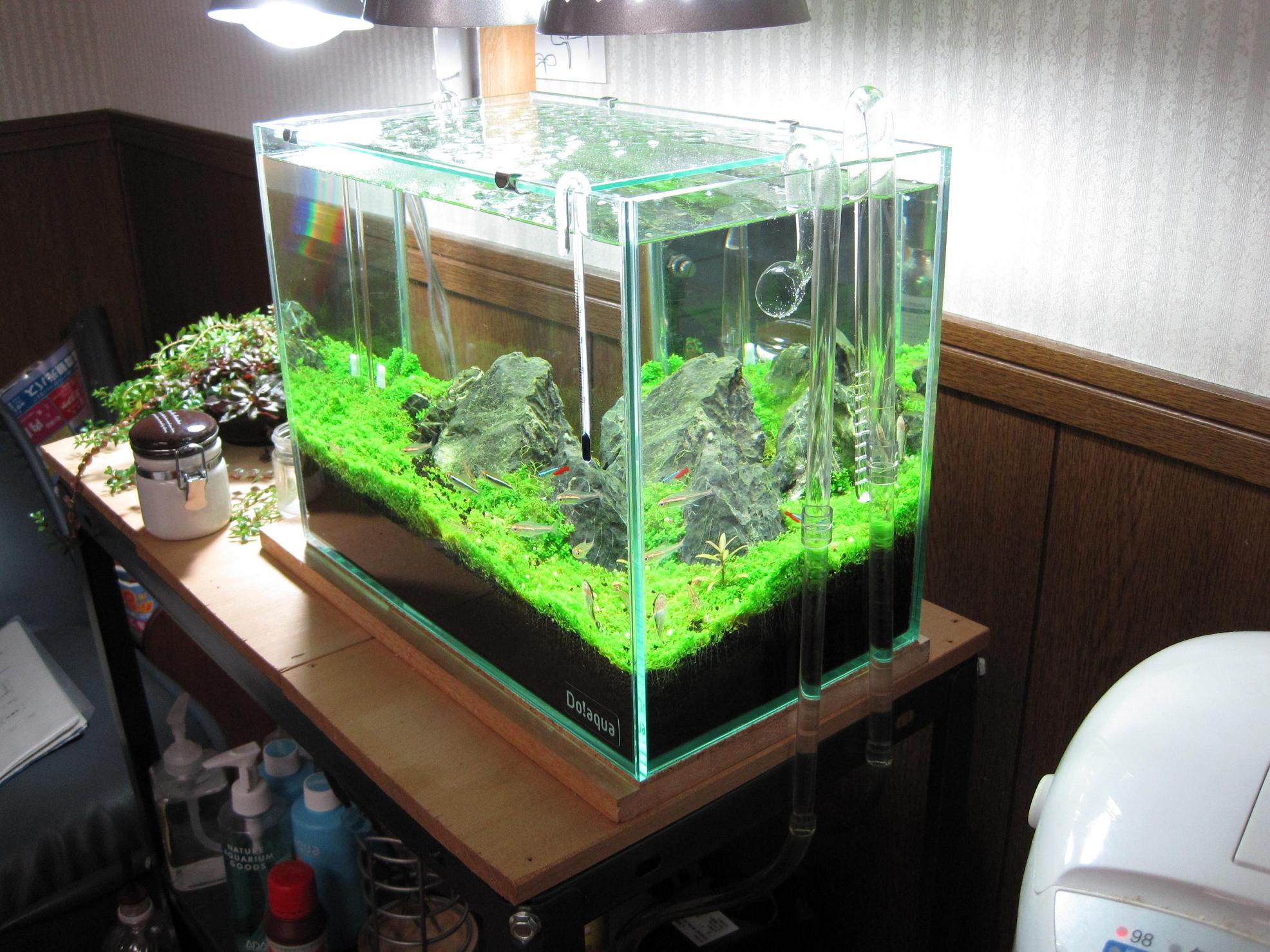 引取限定】ADA キューブガーデン 60cm 水槽 水槽台 セット