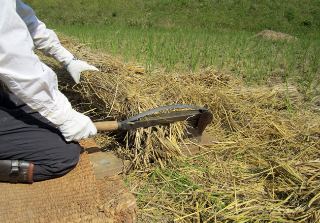 わら切り : 「お知らせ」と「日記」