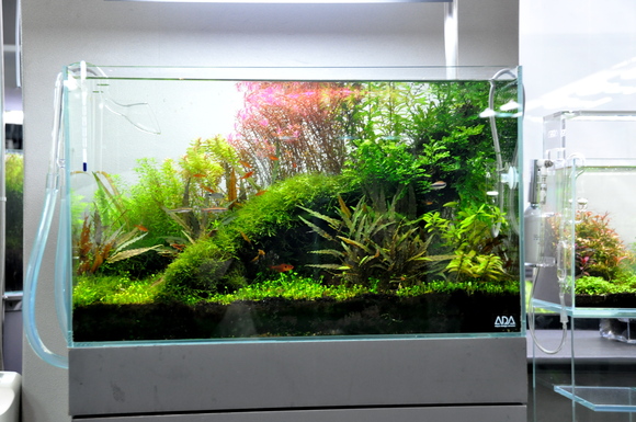 ADA ソーラーミニ Mブラック キューブガーデンM セット ADA ソーラー