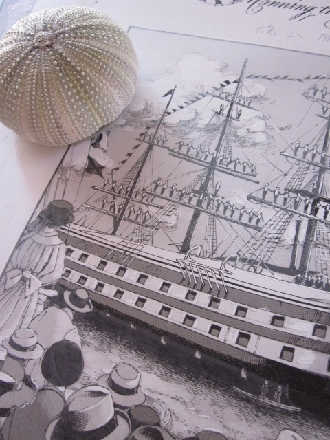 鳩山郁子 豆本と、サイン入りCAMERA Daysのフィル厶、（上箱無し