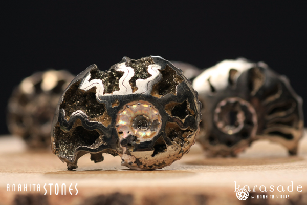 アンモナイトパイライト原石（ロシア産） : 石の音