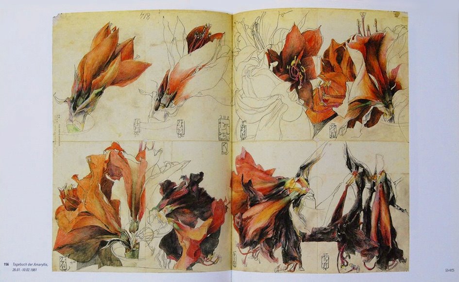 ホルスト ヤンセン 写真 画集 アート 芸術 ヴィンテージ レトロ