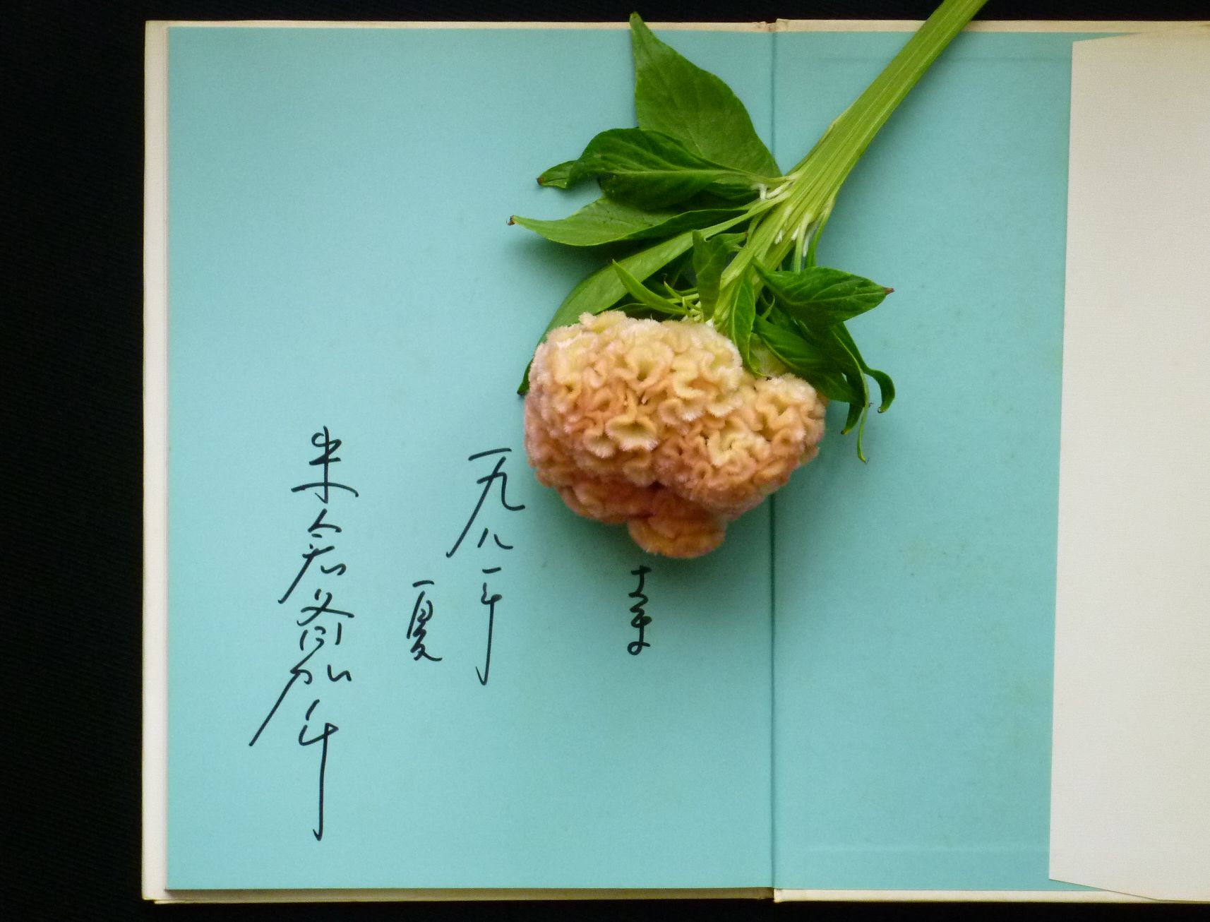 真作】米倉斉加年 “多毛留の顔” 水彩画 米倉 斉加年さんを偲んで