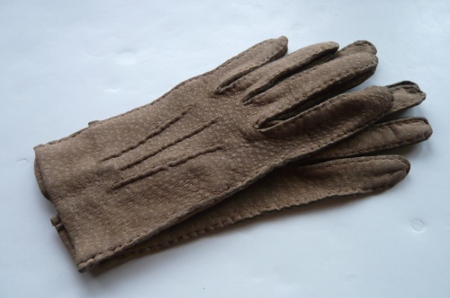 ペッカリーの手袋 : 終の棲家のひとりごと♪