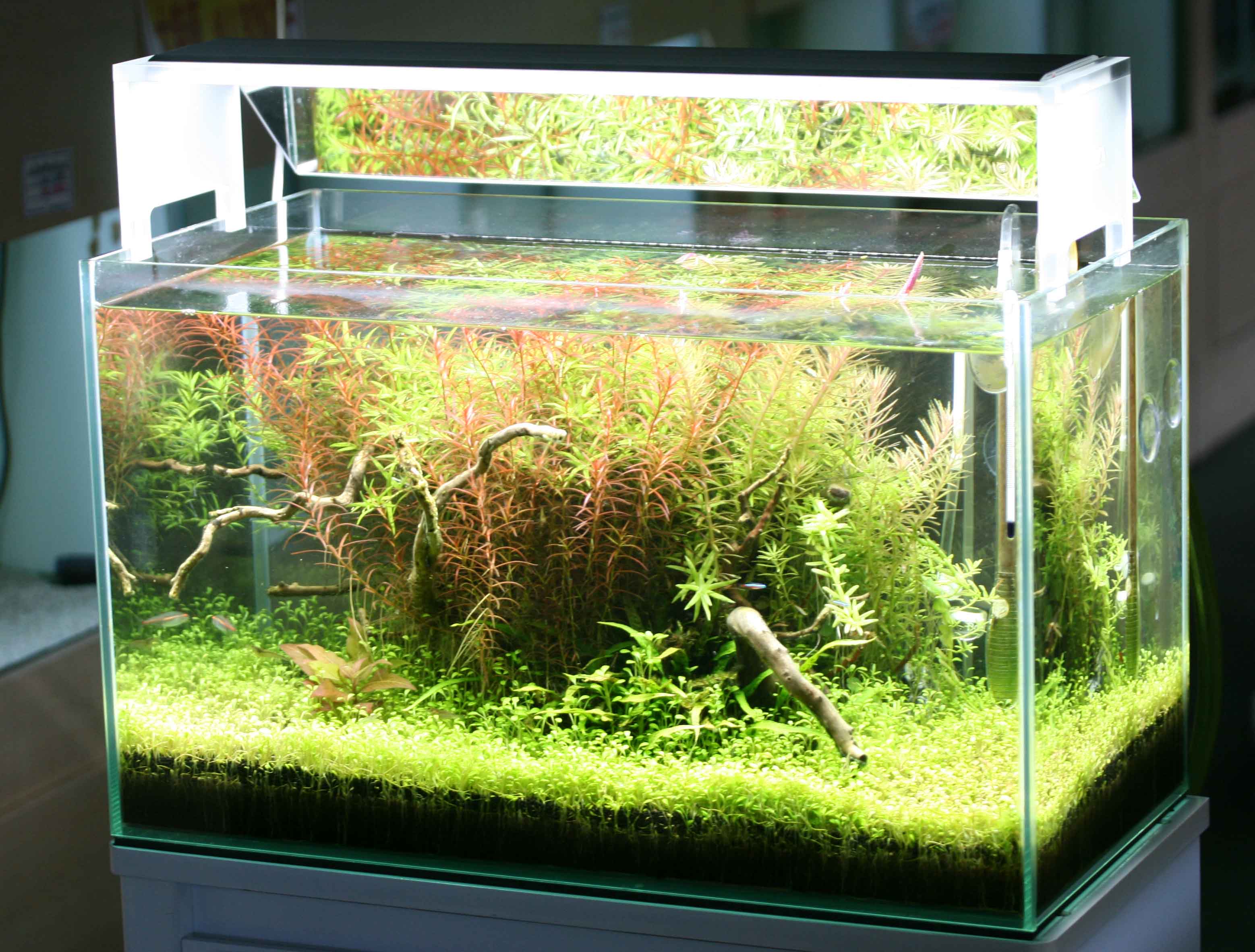 ADA アクアスカイG602 ライト・照明器具 ADA AQUASKY G602 ADA AQUASKY