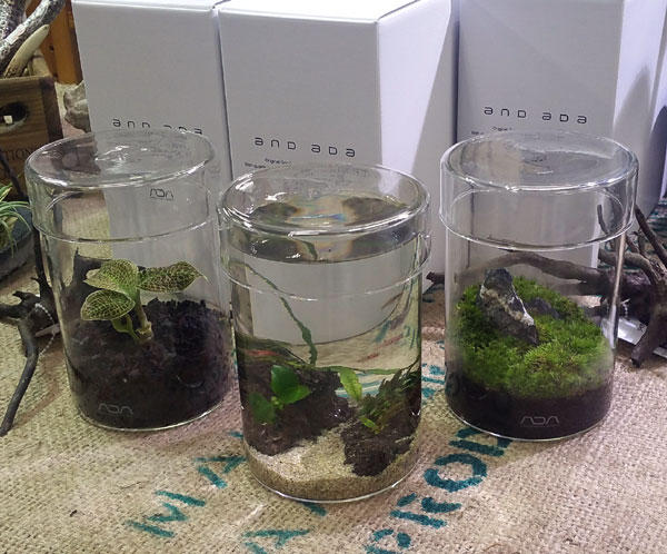 ADAからおしゃれ～なガラス容器が限定販売開始!! : ビーボックス