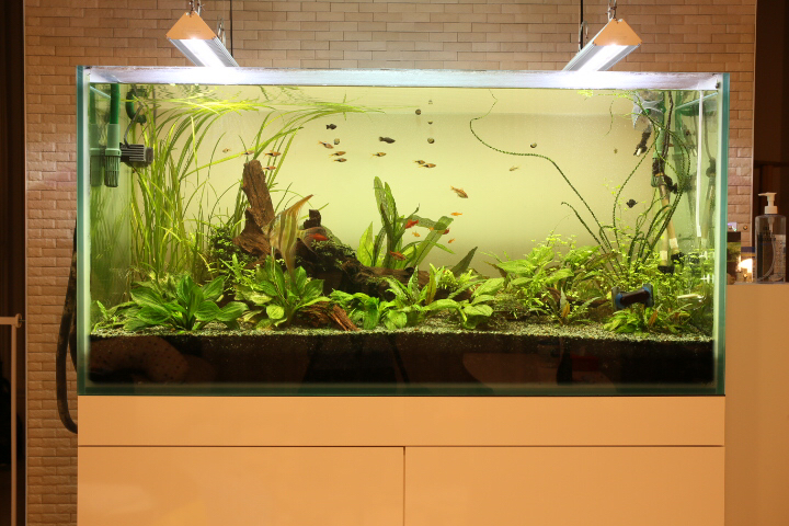 ADA アクアデザインアマノ ソーラー RGB LED 照明システム used ADA