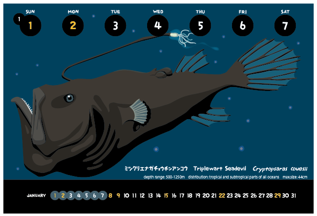 ミツクリエナガチョウチンアンコウ液浸標本 ミツクリエナガチョウチン