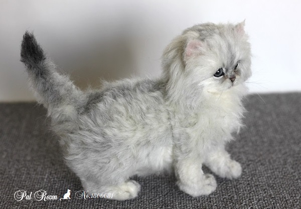 生後2ヶ月♡チンチラシルバー♡子猫ちゃん♡アートドール♡ぬいぐるみ