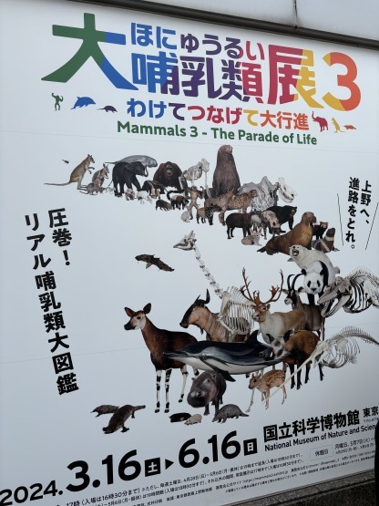 美品 大哺乳類展3 告知ポスター カラー版 大哺乳類展3－わけてつなげて