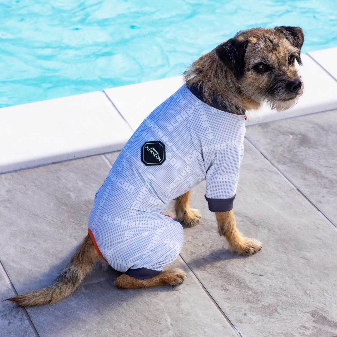 ALPHAICON [アルファアイコン] FULL DOG GUARD [24FDG] フルドッグ