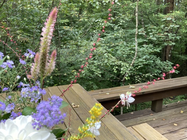 スィベル・ギュレー 作品名：庭の花のブーケ スィベル・ギュレー 作品