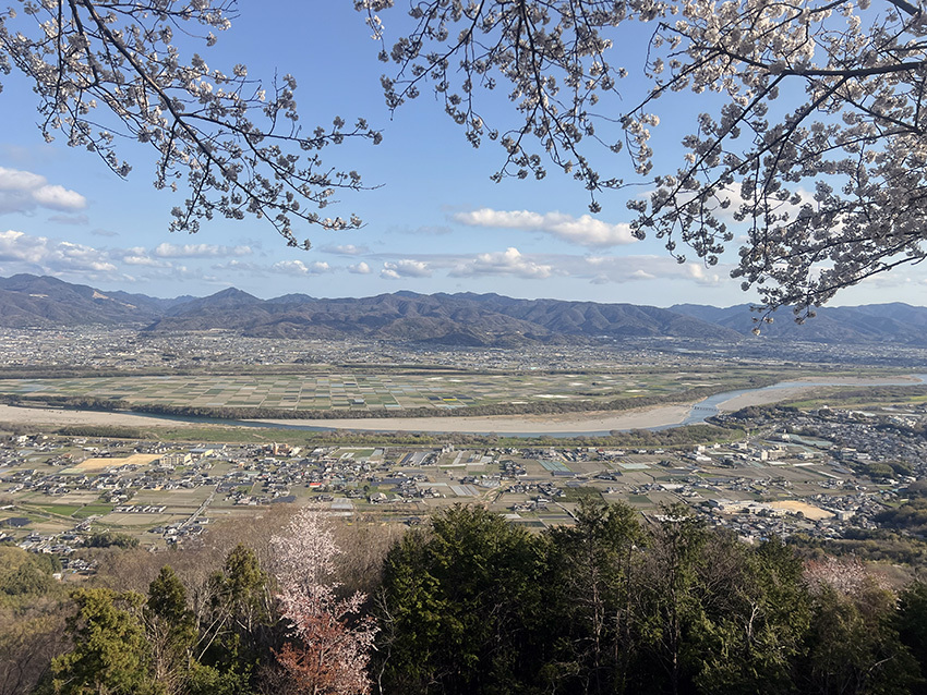 約44年前の県道43号神山川島線「掘割峠」の桜♪ : すえドンのフォト日記