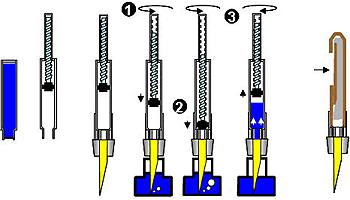 Lady Patricia Gold Plate Facet - Waterman｜万年筆専門店 Pen