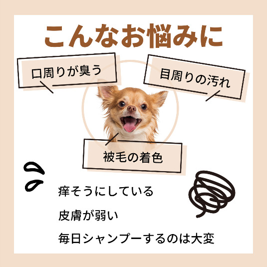 専門店用】APDC おひげ用 ナチュラル ホワイトニング フォーミング