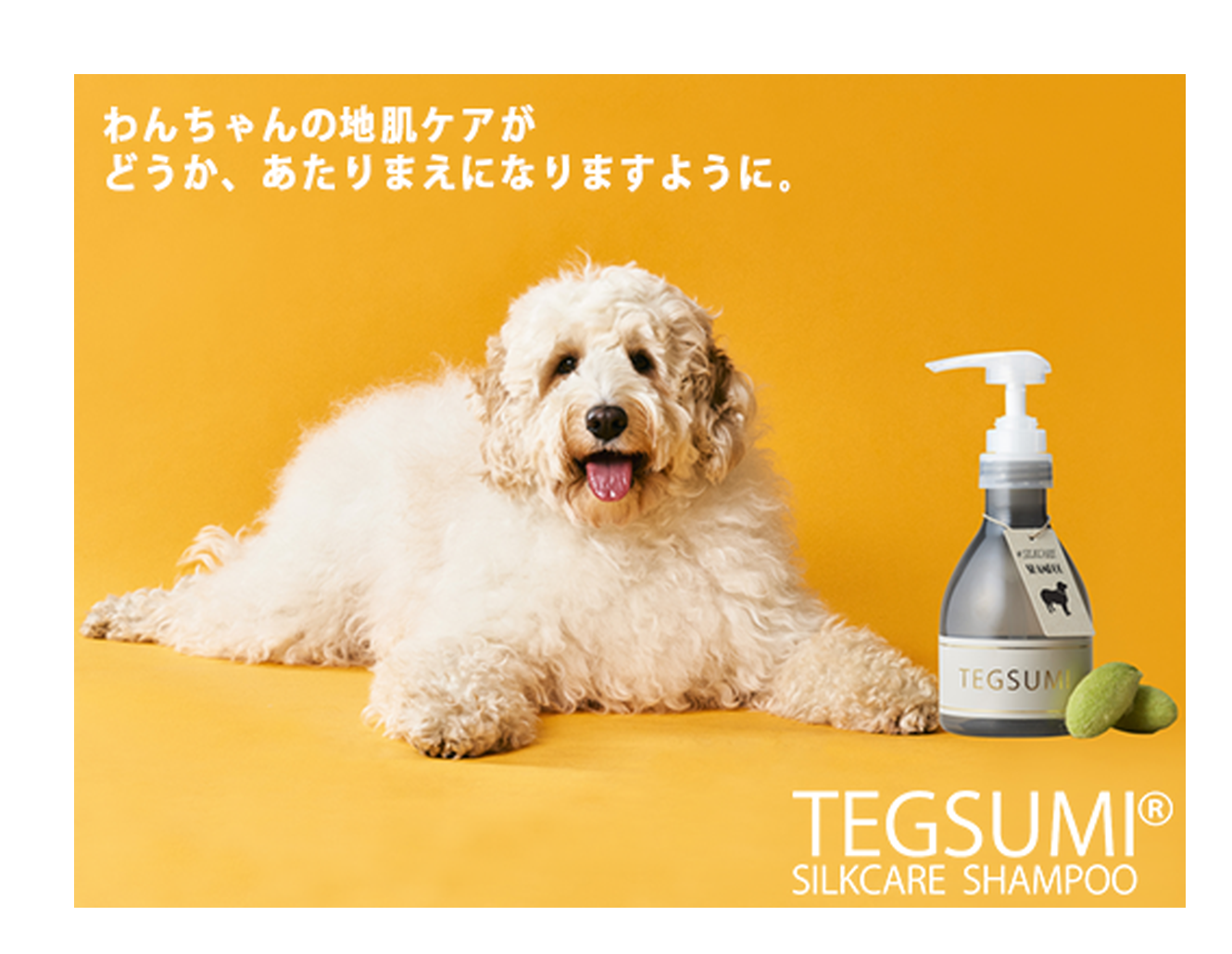 TEGSUMI SILKCARE SPRAY for Coat テグスミ シルクケアスプレー もっと