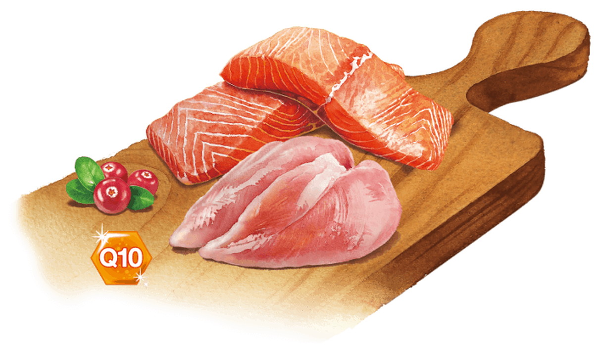 セレクトバランス グレインフリー アダルト サーモン 小粒 1才以上 成