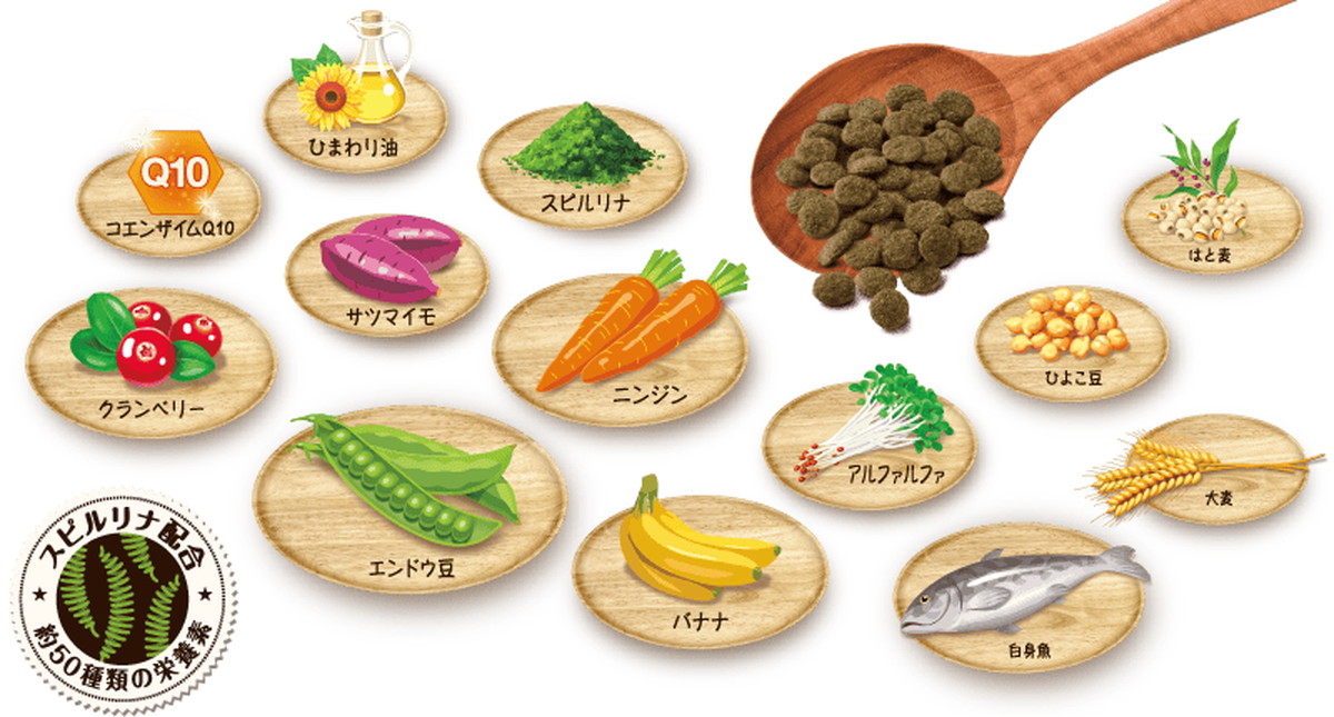 セレクトバランス グリーンレシピ ヴィーガン 小粒 アダルト 1才以上