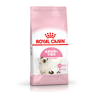 FHN キトン 成長後期 子猫用 10kg: 100｜業務用トリミング用品通販