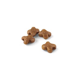 FHN キトン 成長後期 子猫用 10kg: 100｜業務用トリミング用品通販