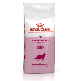 ブリーダー プロ クイーン 発情期 妊娠期 授乳期の母猫用 8kg （ 4kg×2 ）