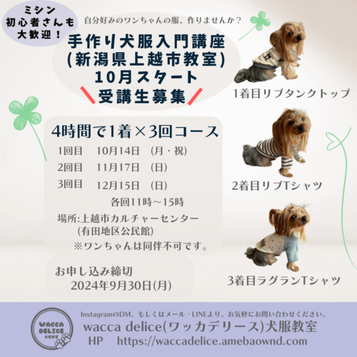 アトリエggサイズ1ハーフ 30 【公式通販】