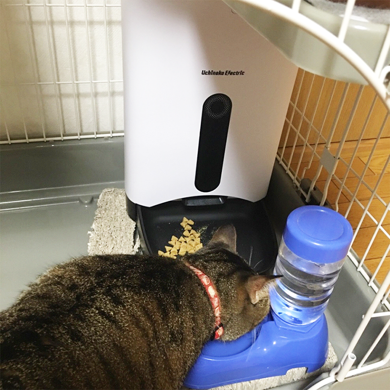 お客様の声カリカリマシーン - うちのこエレクトリック