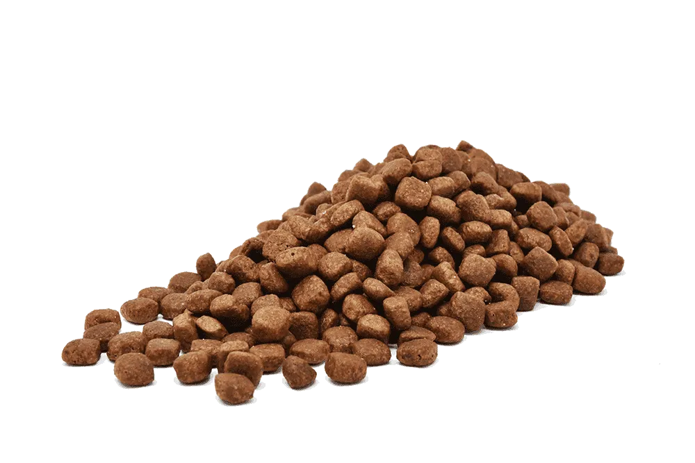 ロニーキャットフード チキン グレインフリー公式通販サイト