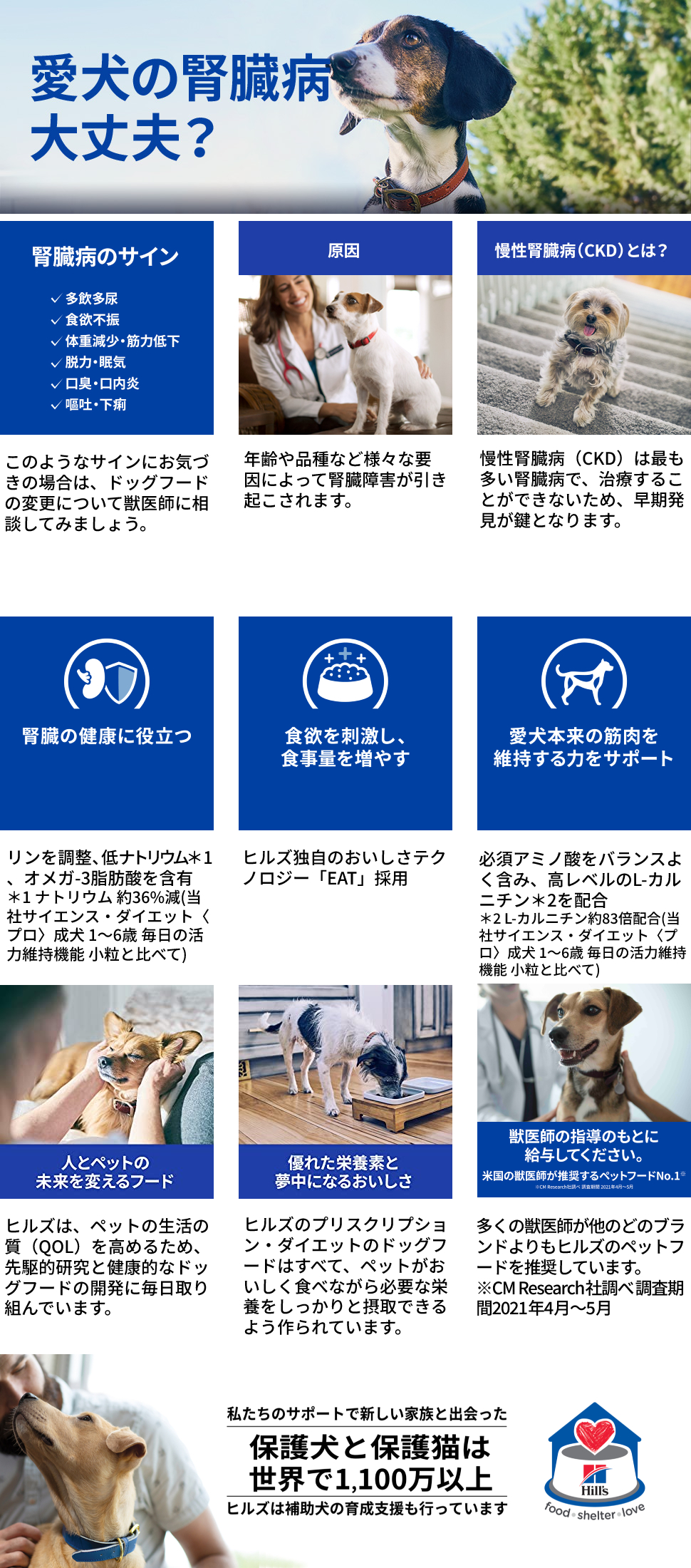 ヒルズ 食事療法食 犬用 k/d ケーディー 腎臓ケア 缶 370g×12 | ペットゴー