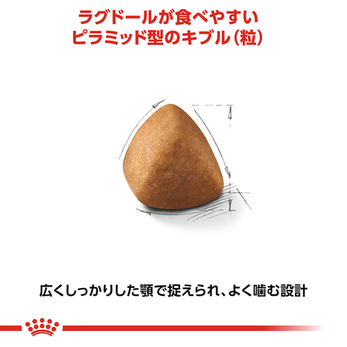 送料無料】ロイヤルカナン FBN ラグドール 成猫用 2kg | ペットゴー