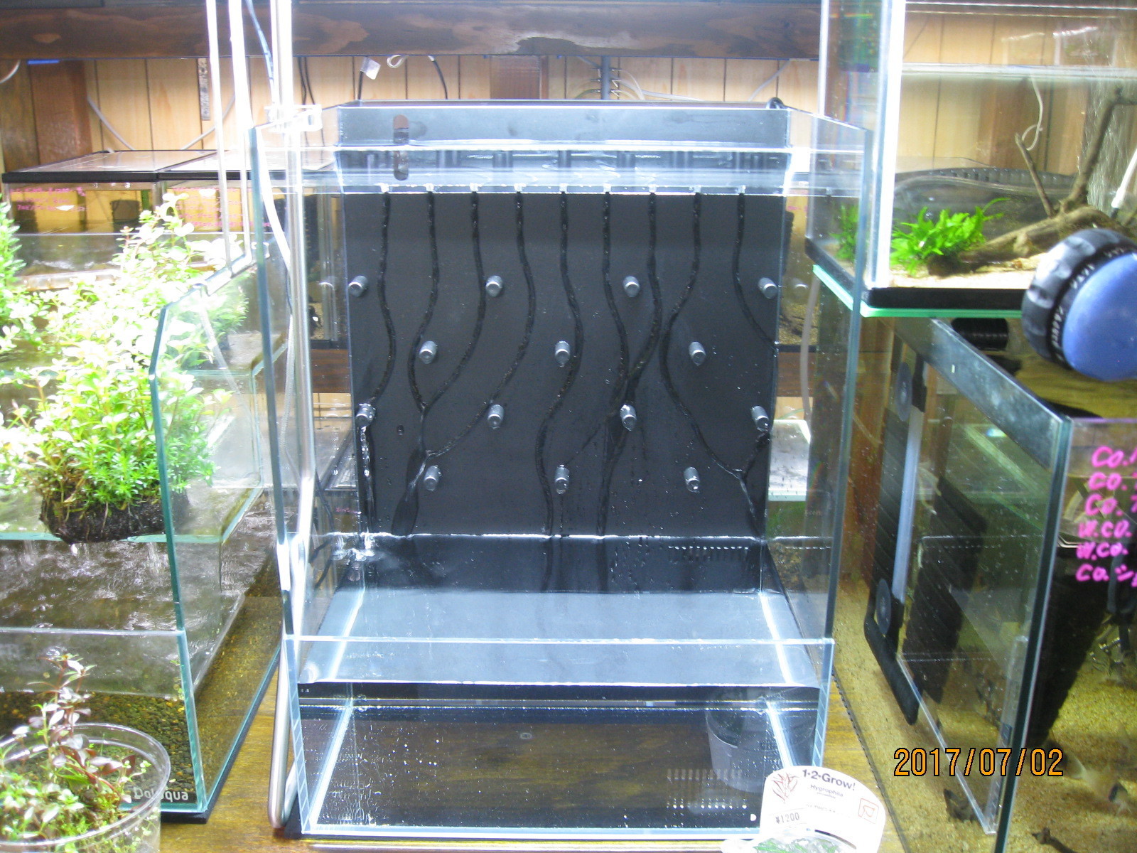 ADA ガラス水槽 廃盤品 レア物 ADA ガラス水槽 キューブガーデン Do