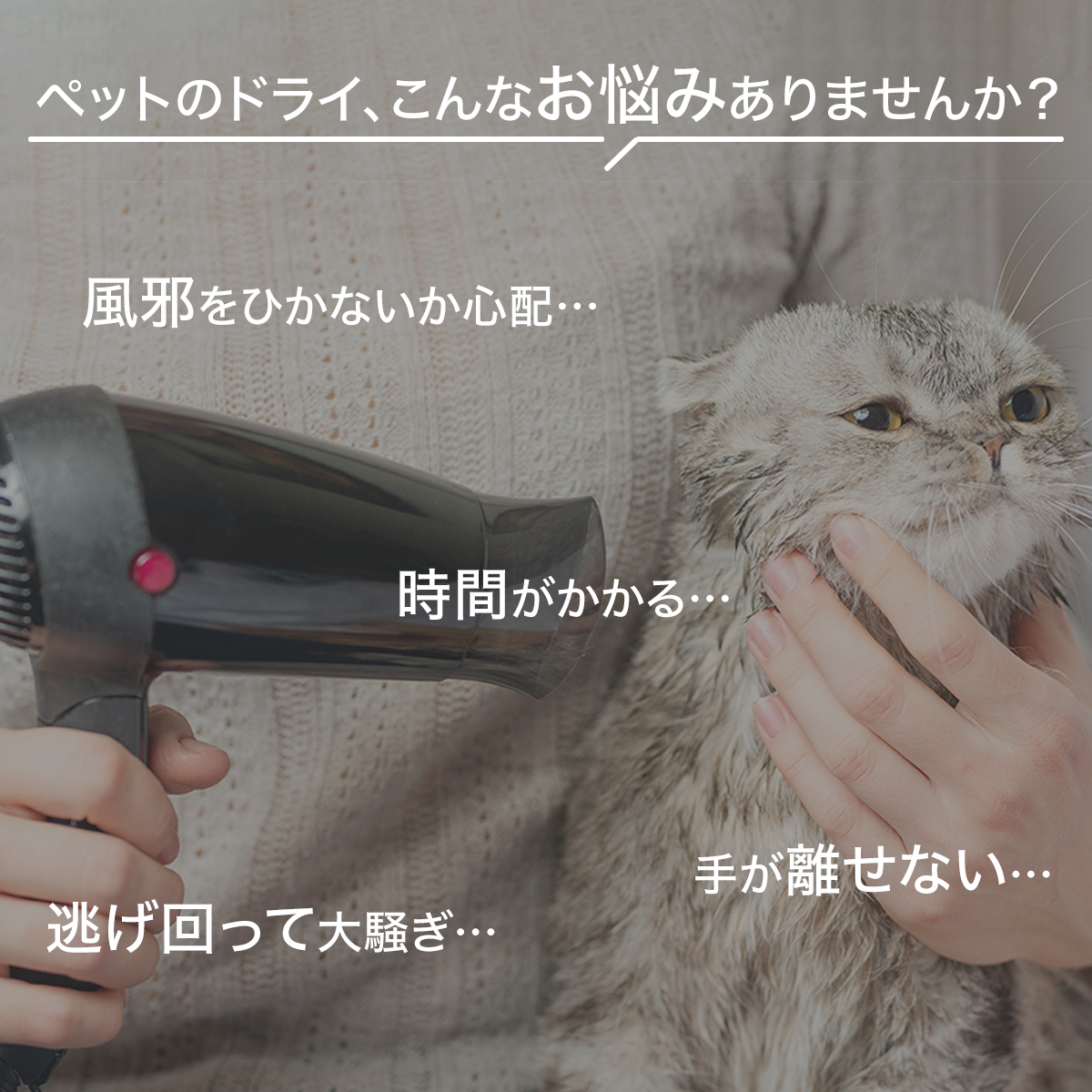 20%OFF／PET MARVEL 公式 ドライヤーハウス H4 【ペットグッズ3個付き