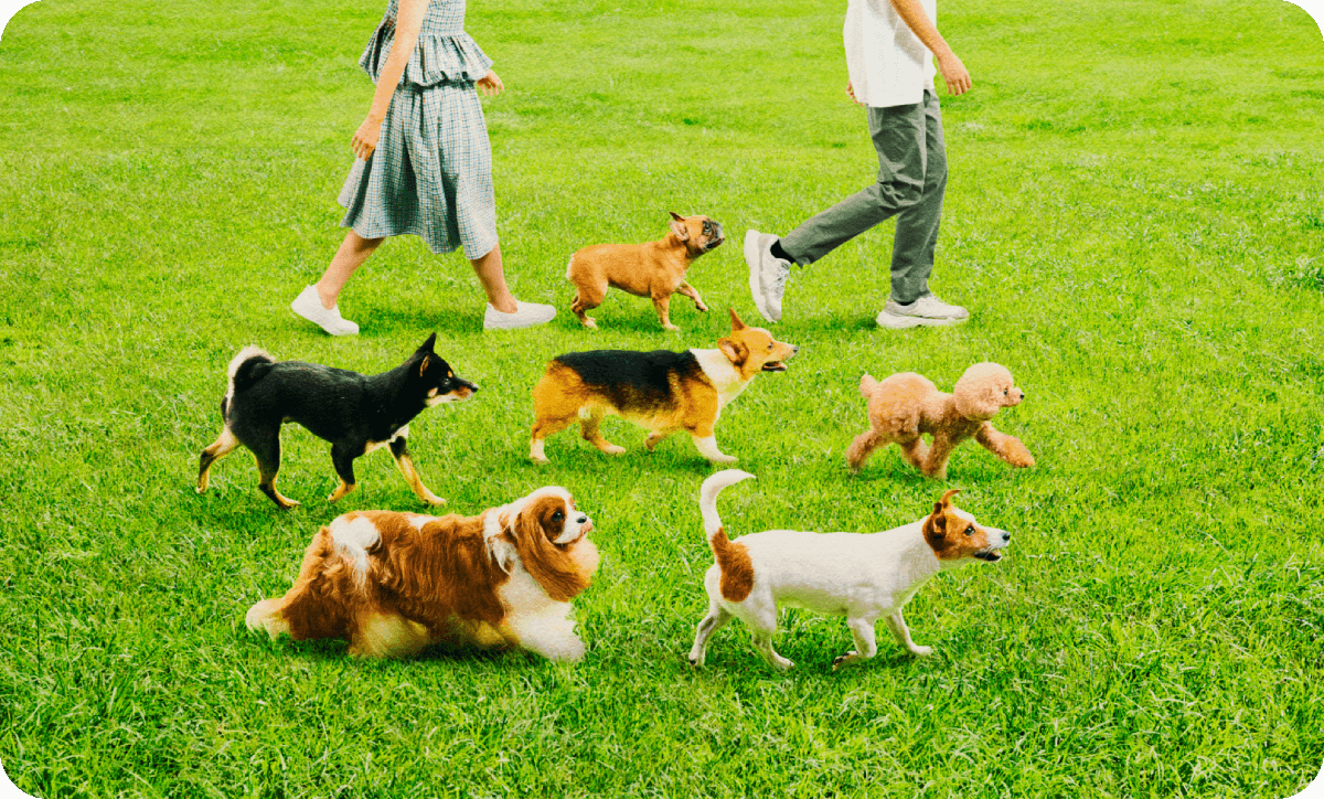 PET PARADISE オフィシャルサイト