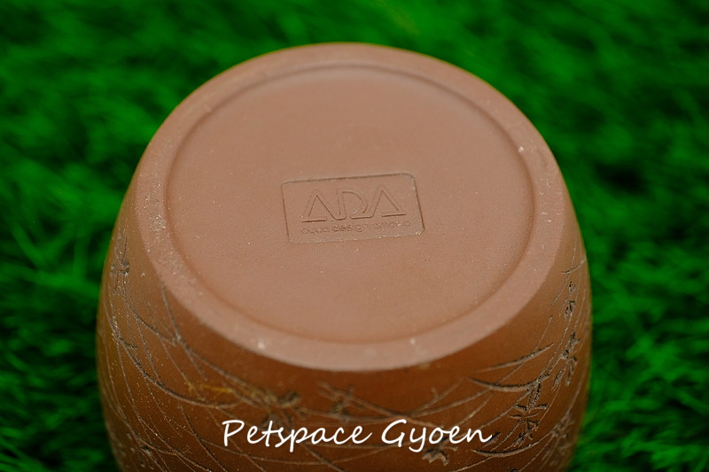 ADAの虫音（過去商品）で鈴虫を飼育 できれば繁殖 | ペットスペース