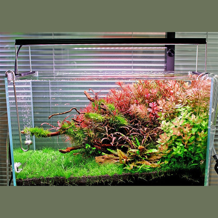 Chihiros- Wrgb2 Pro 60 – Pets Qatar