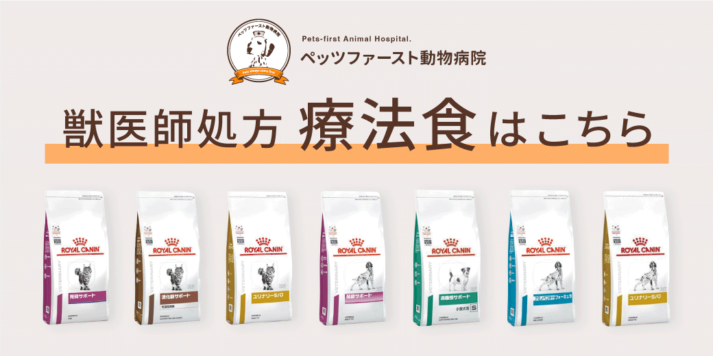 P's-first ONLINESTORE