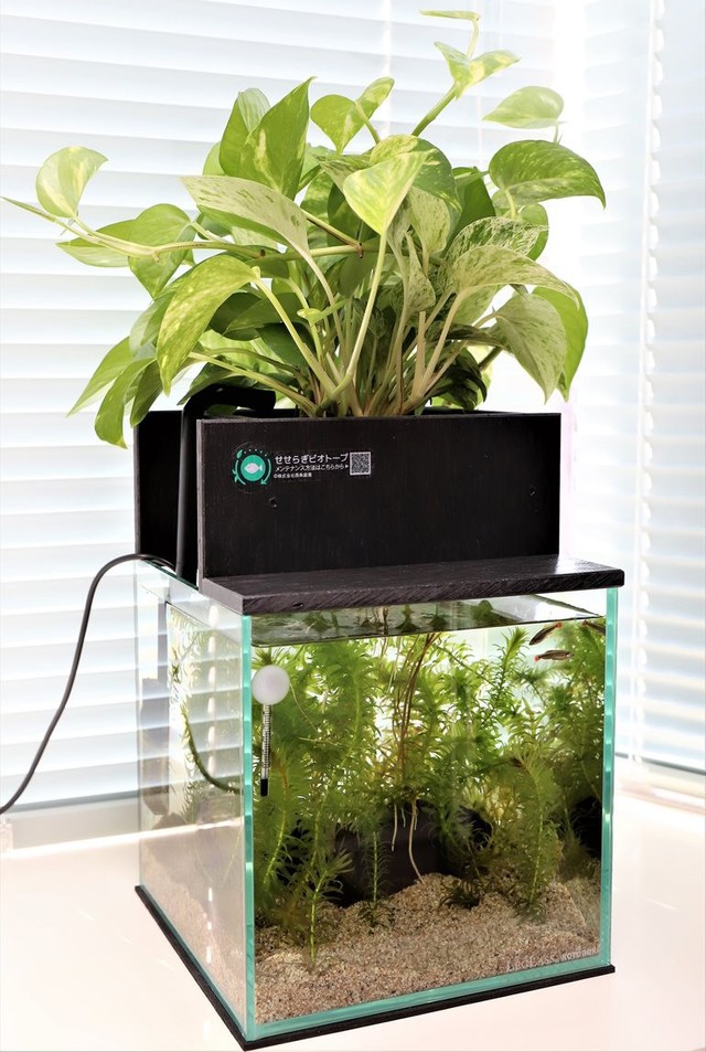 水換えの要らないビオトープ