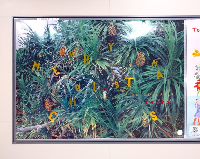 いいちこポスター いいちこ」広告ポスター40周年、渋谷で企画展 2000点