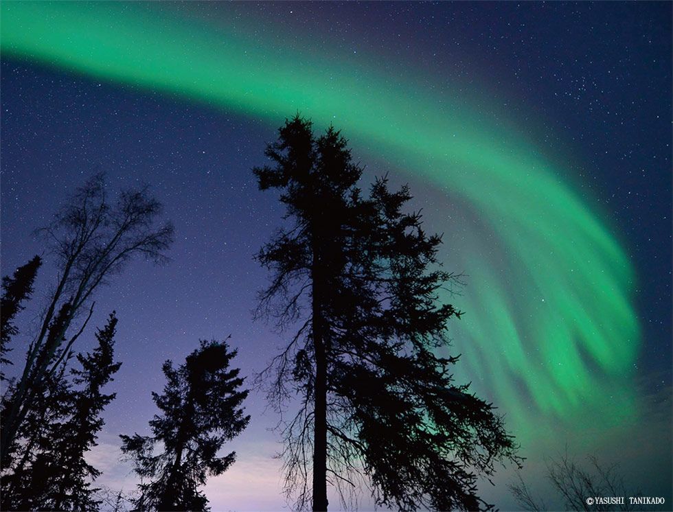 芸術写真 Aurora Dance 110/1000 芸術写真 Aurora Dance 110/1000 芸術