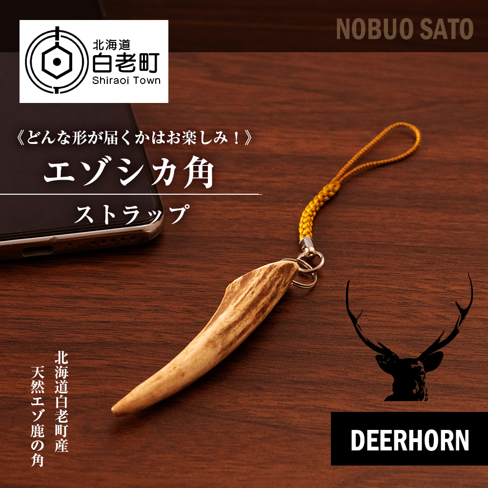 エゾシカの角【14本】 エゾシカの角【左右非対称】14本 エゾシカの角【左右