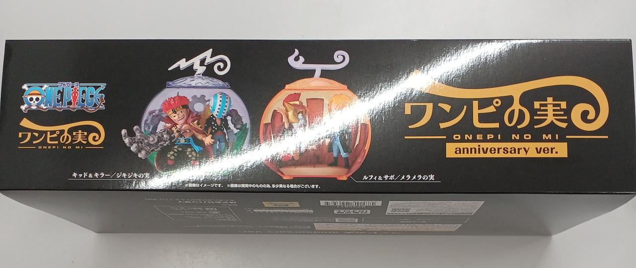 ワンピの実 113個 ワンピの実 113個 ワンピの実 113個 ワンピ