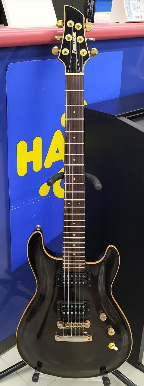 FERNANDES APG-100 24F【レア】 FERNANDES APG-100 24F【レア】