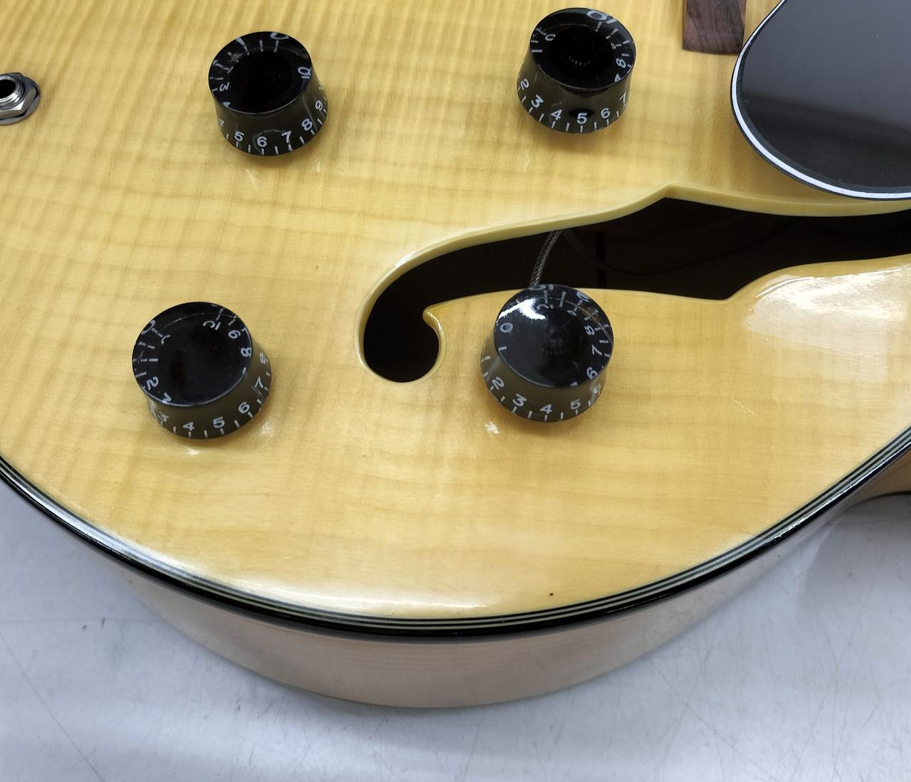 Jay Turser USAセミアコ Jay Turser USAセミアコ Jay Turser USA