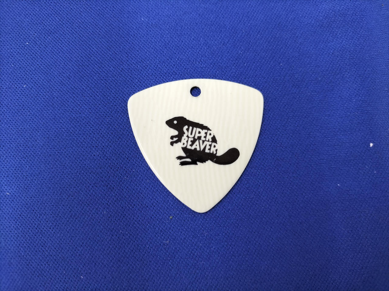 SUPERBEAVER ピック 柳沢 亮太さん使用 【公式通販】