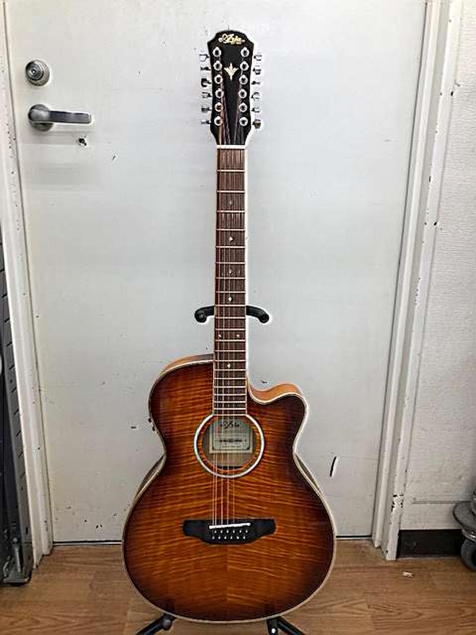 Aria アコースティックエレクトリックベース ERT-500TBS Aria